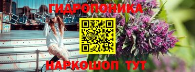 круглые Бийск