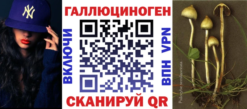Псилоцибиновые грибы Psilocybine cubensis Воронеж
