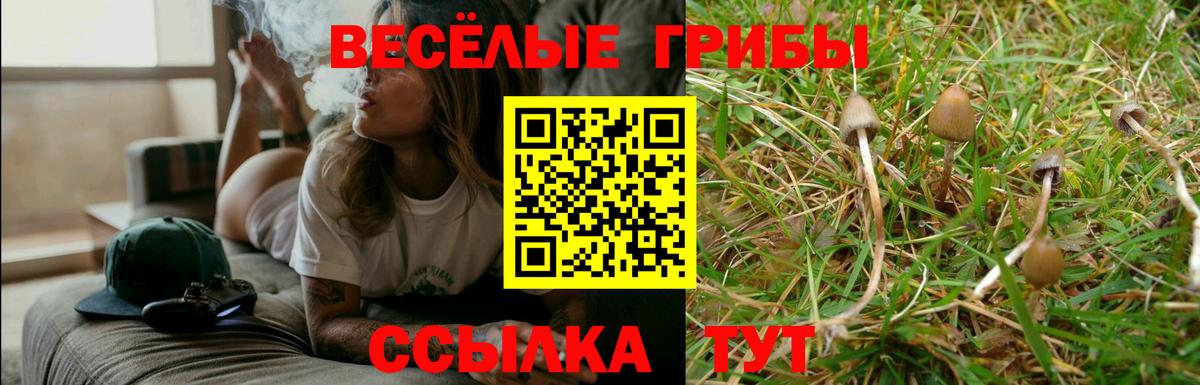 Галлюциногенные грибы Magic Shrooms  Воронеж 