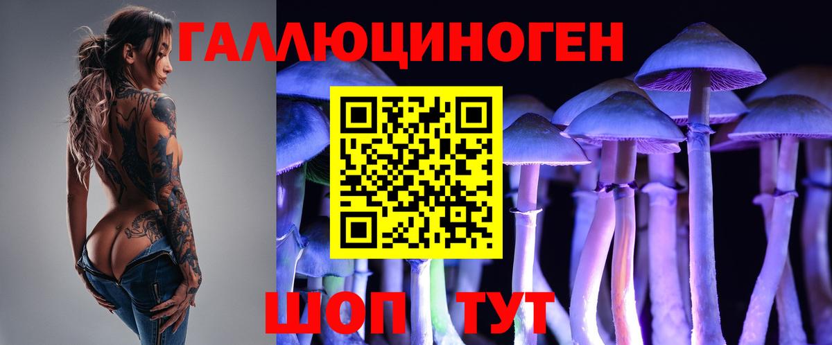 Галлюциногенные грибы Cubensis Воронеж