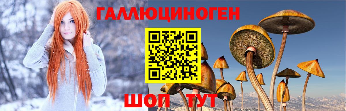 Воронеж  продажа наркотиков  Вход с VPN  Галлюциногенные грибы ЛСД  Галлюциногенные грибы Magic Shrooms 